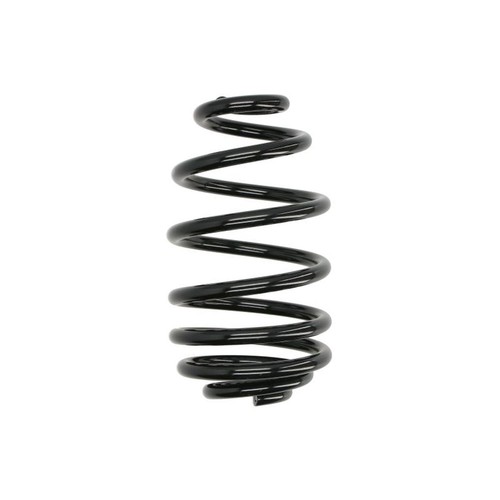 Coil spring rear r - spring, l/r
